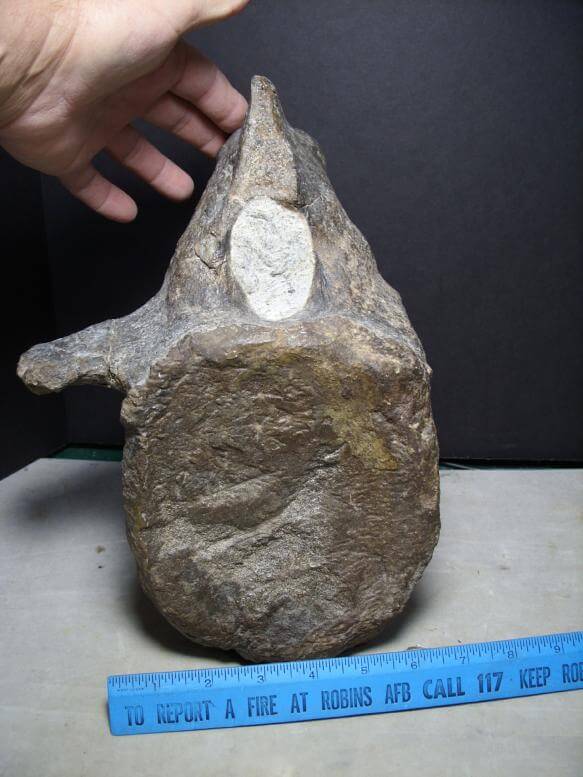 dinosaur with stone head