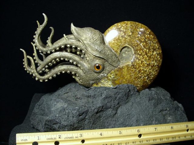 Fossil ammonite