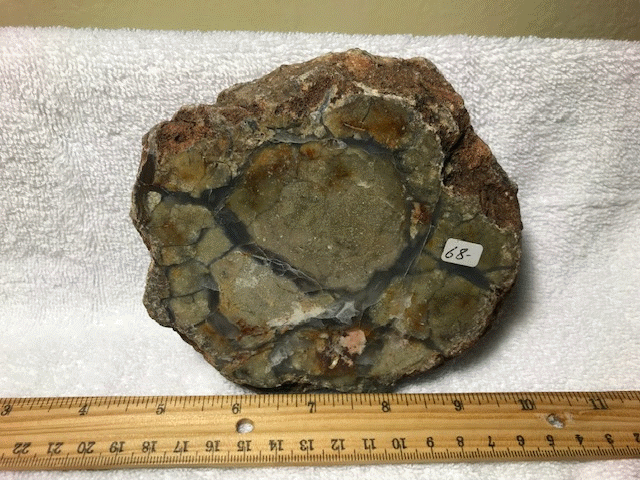 Dinosaur Coprolite (100719a) - The Stones & Bones Collection