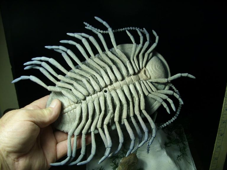 Prehistoric Trilobite Sculpture 052020z The Stones And Bones Collection