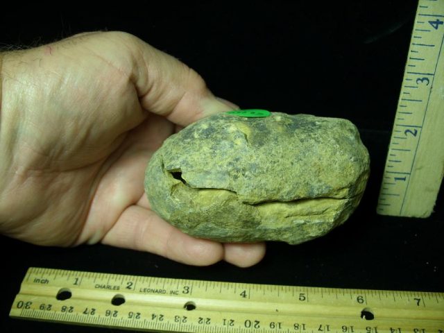 Fossil  Trilobite  in Nodule (052320n) - Image 3