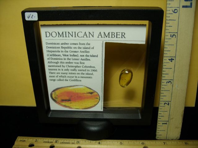 Dominican Amber Specimen with Flies (122420d) - Image 2