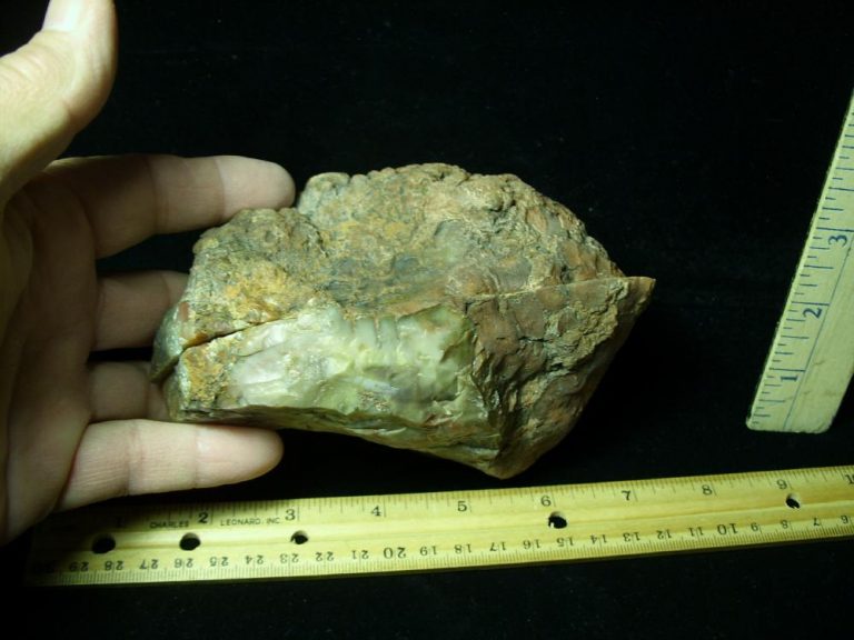 dinosaur poop stone