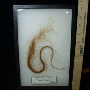 Authentic Mammoth Hair