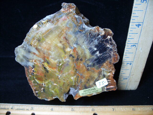 Arizona Petrified Wood (021025j) - Image 2