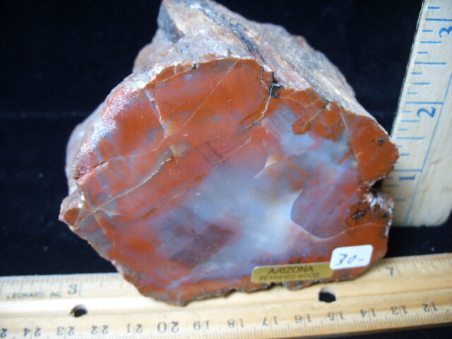 Arizona Petrified Wood (021025n) - Image 2