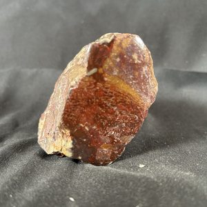 Dinosaur Gem Bone
