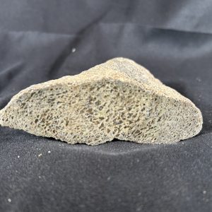 Dinosaur Gem Bone