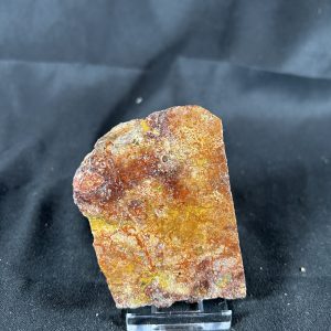 Dinosaur Gem Bone