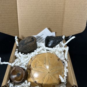 Collection Starter Mini-Kit