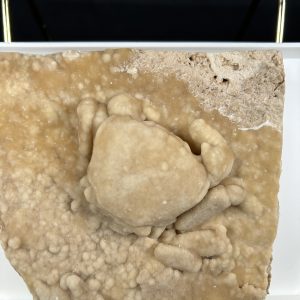 Travertine Crab
