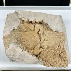 Travertine Crab