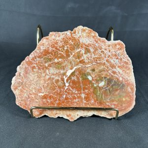 coprolite