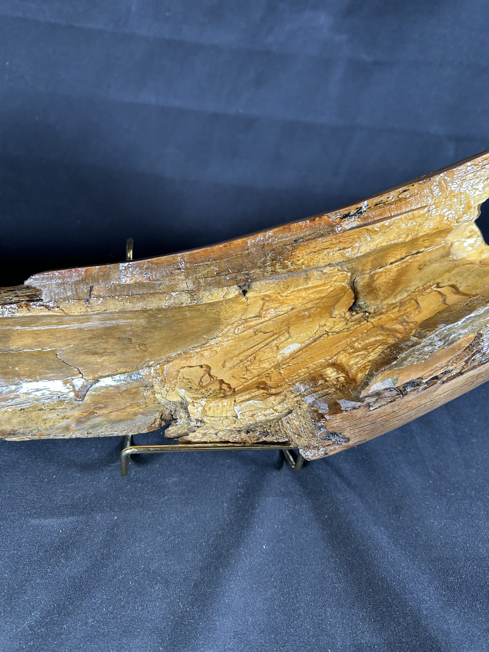 Woolly Mammoth Tusk Fossil Shards, Large Display Piece, Pleistocene 7 Woolly Mammoth Tusk Fossil Shards, Large Display Piece, Pleistocene - Image 7