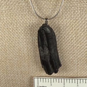 Fossilized Horse Tooth Pendant, Equus, Sterling Silver