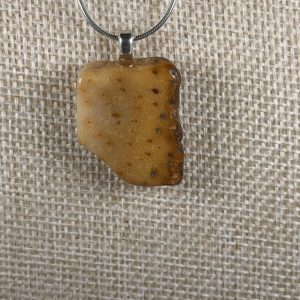 Petrified Palm Wood Pendant, Fossil Wood, Sterling Silver