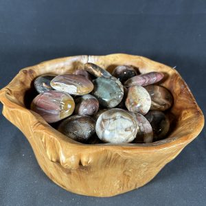 Petrified Wood