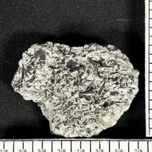 Abyssomedon