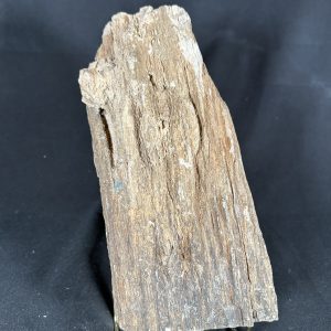 Arizona Petrified Wood