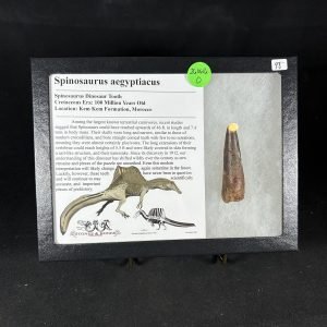 Spinosaurus