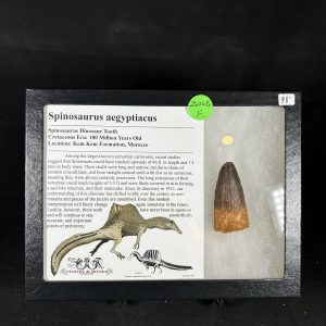 Spinosaurus