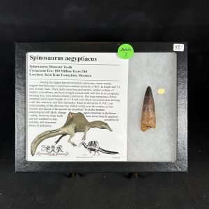 Spinosaurus