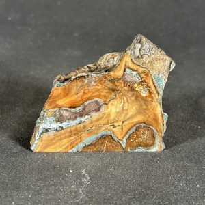 The Stones &Amp; Bones Collections - New Items 117 Woolly Mammoth Tooth