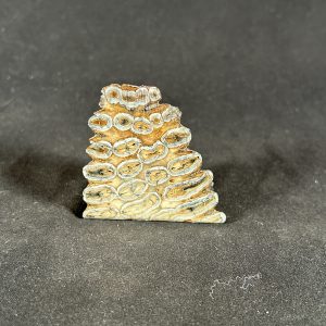 The Stones &Amp; Bones Collections - New Items 115 Woolly Mammoth Tooth