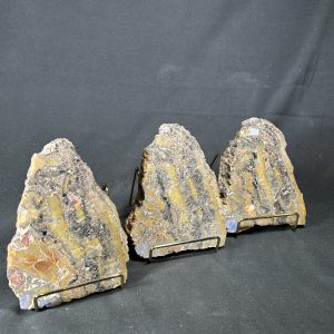 The Stones &Amp; Bones Collections - New Items 107 Arizona Petrified Wood