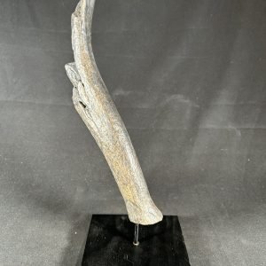 The Stones &Amp; Bones Collections - New Items 97 Cervalces