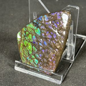 The Stones &Amp; Bones Collections - New Items 55 Large Ammolite Shard, Blue, Purple, Green