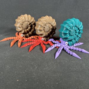 The Stones &Amp; Bones Collections - New Items 5 Ammonite Model